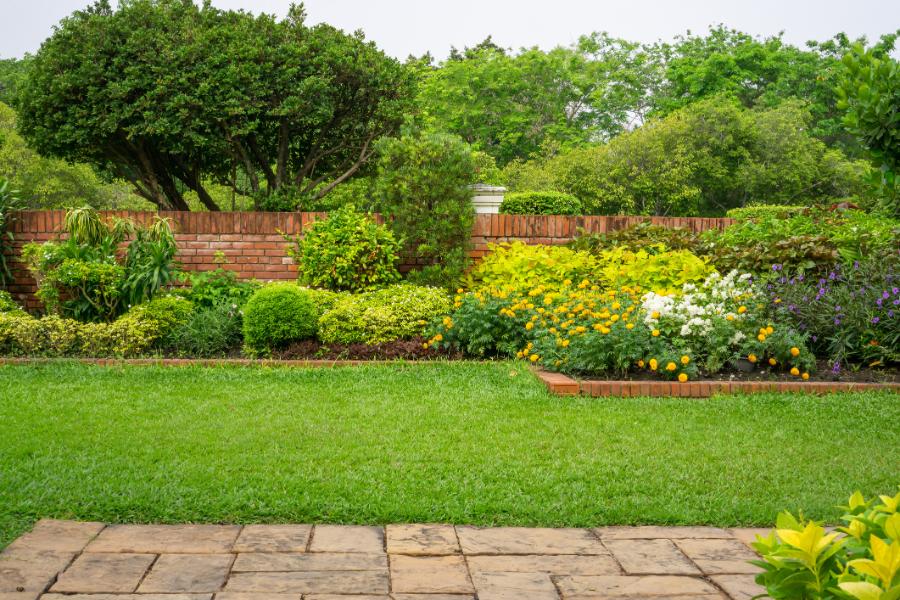 Affordable Backyard Landscaping  Service in Kyle, TX