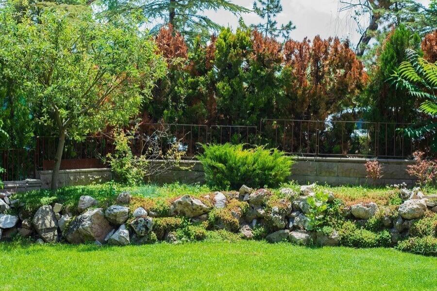 Reliable Backyard Landscaping Ideas on a Budget in Kyle, TX