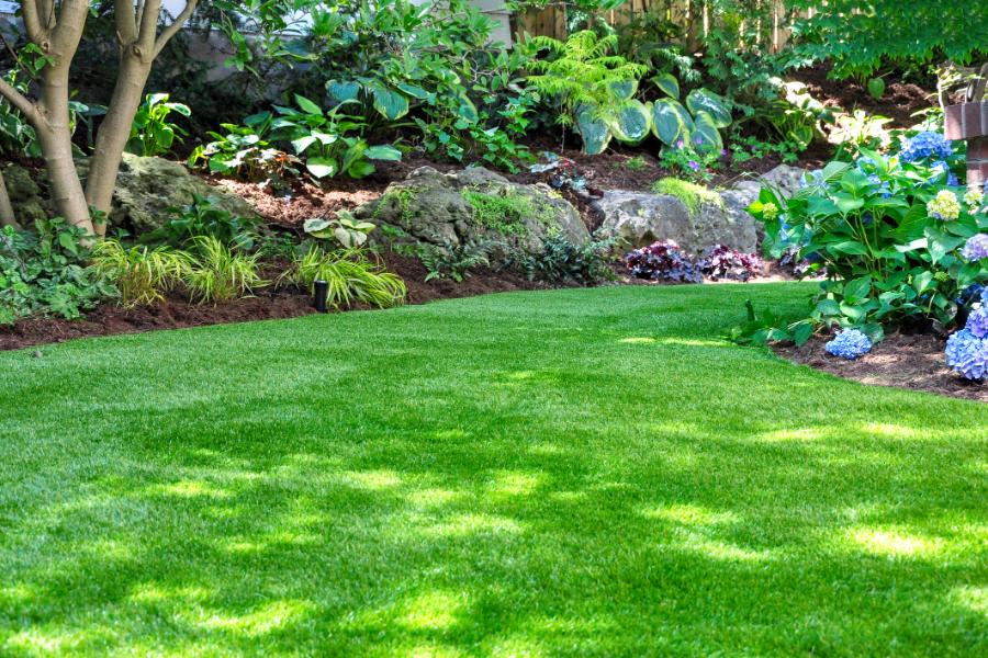 Backyard Landscaping Ideas on a Budget in Kyle, TX