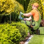 Dependable Backyard Landscaping in Kyle, TX