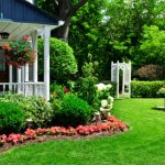 Reliable Backyard Landscaping in Kyle, TX