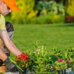 Professional Backyard Landscaping in Kyle, TX