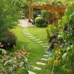 Backyard Landscaping in Kyle, TX