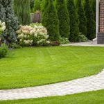 Quality Backyard Landscaping in Kyle, TX