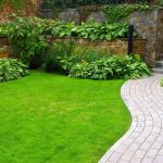 Affordable Backyard Landscaping in Kyle, TX