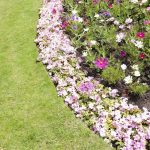 Dependable Front Yard Landscaping in Kyle, TX