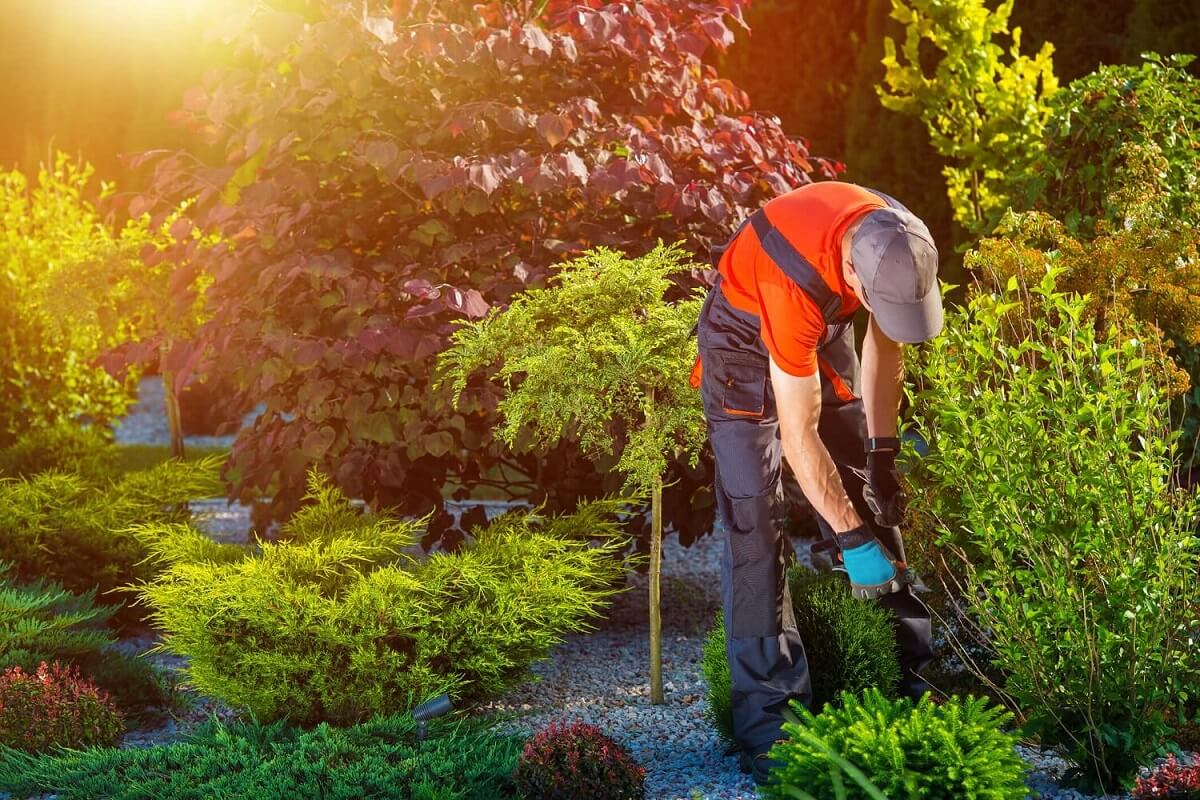Landscaping Company in Kyle, TX
