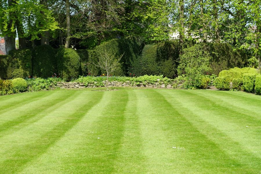 Lawn Care Services List in Kyle, TX