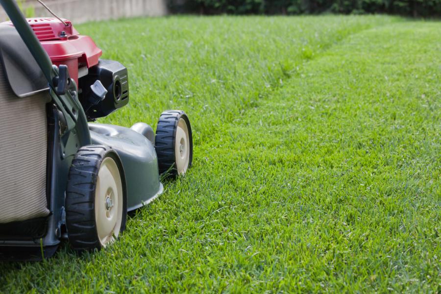 Affordable Lawn Care Services List in Kyle, TX