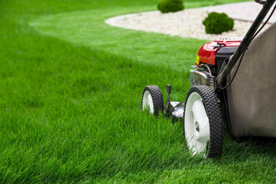Lawn Care Tips in Kyle, TX