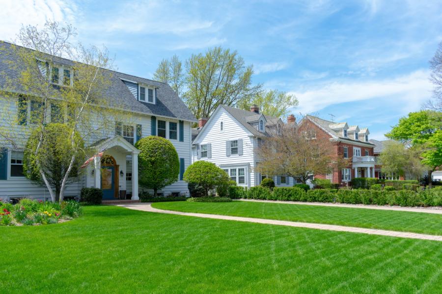 Dependable Lawn Care Tips in Kyle, TX