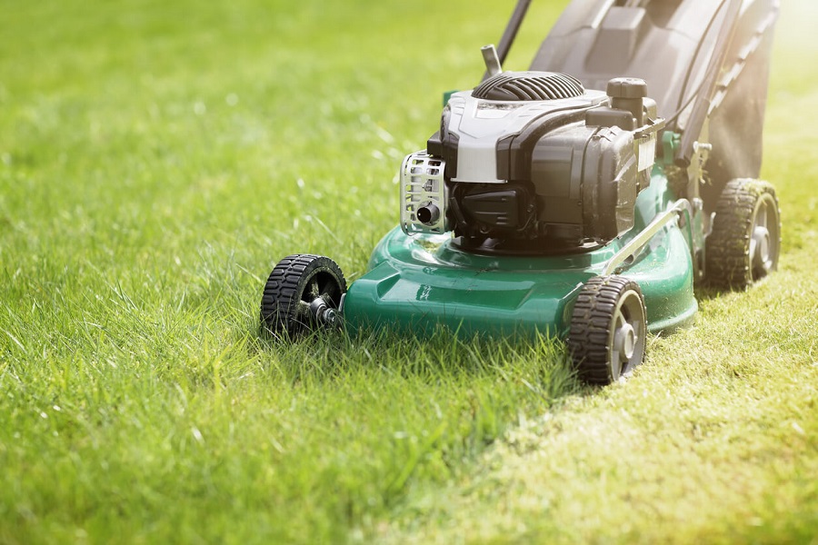 Lawn Care