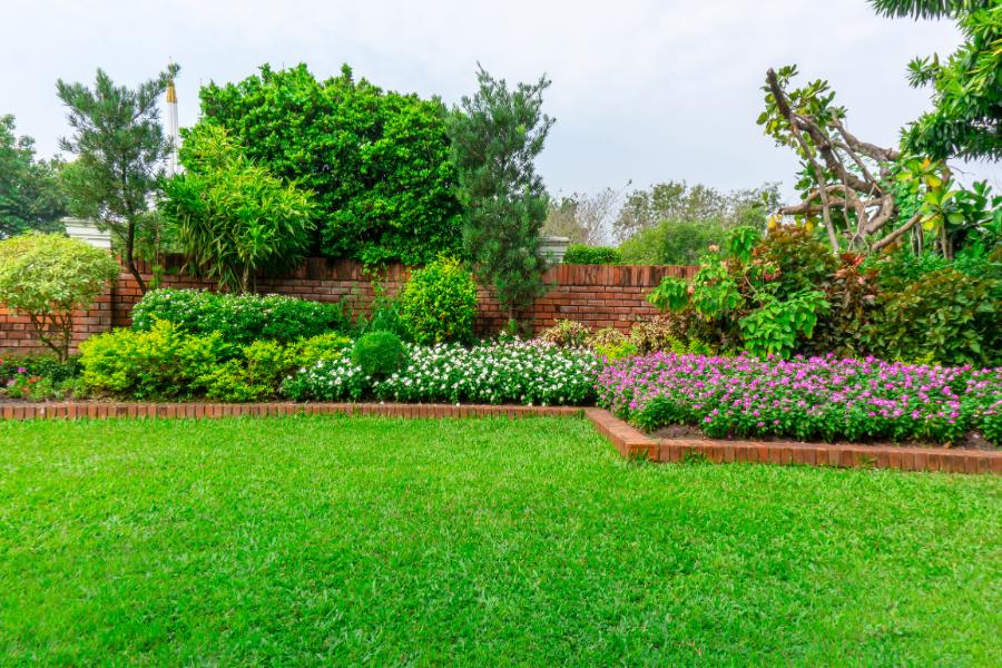 Professional Backyard Landscaping Ideas in Kyle, TX