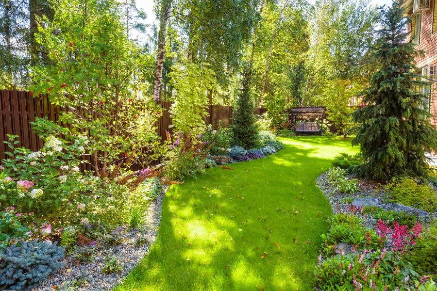 Modern Backyard Landscaping Ideas in Kyle, TX