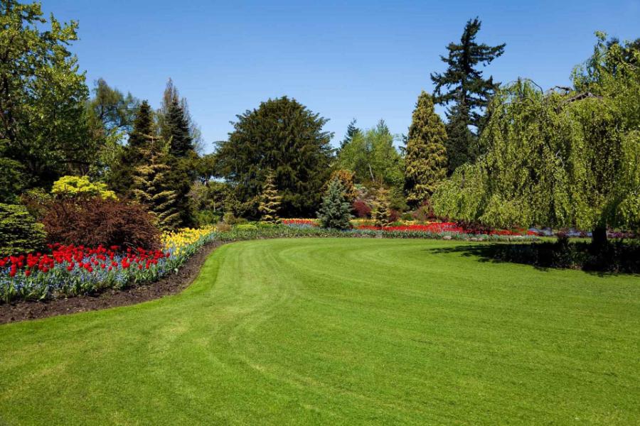 Professional Backyard Landscaping Service in Kyle, TX