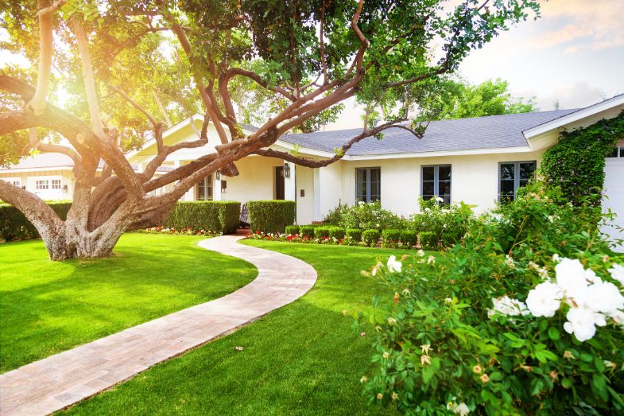 Reliable Front Yard Landscaping in Kyle, TX