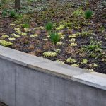 Dependable Retaining Wall Repair in Kyle, TX