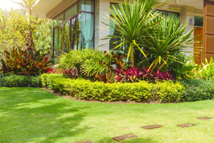Reliable Small Front Yard Landscaping Ideas in Kyle, TX
